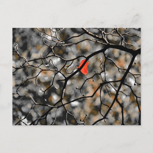 Late herfst briefkaart (Voorkant)