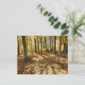 Late Herfst in de Bossen Briefkaart (Staand voorkant)