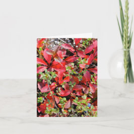 Late Summer in Alaska - 4" x 5.6" Notecard Kaart