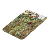 Late Summer Magnet Magneet (Linkerzijde)