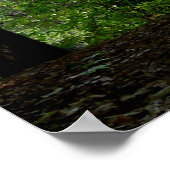 Late zomer bij Walden Pond Poster (Hoek)