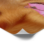 Laten we afspelen poster (Hoek)