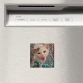 Laten we Boogie, katje magnet. Magneet (Insitu (Vaatwasser))