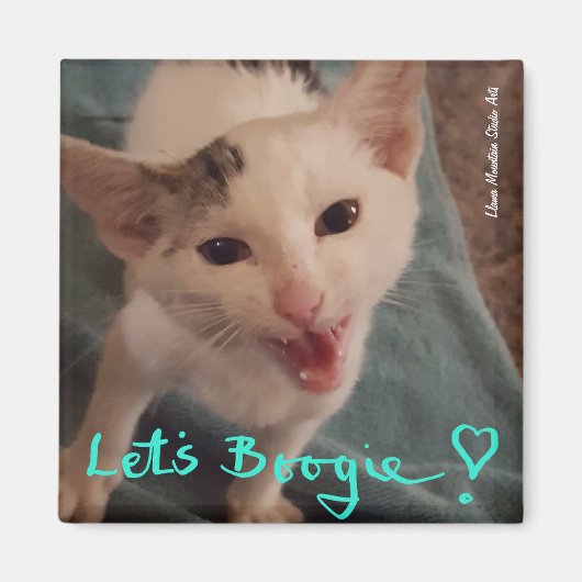 Laten we Boogie, katje magnet. Magneet (Voorkant)