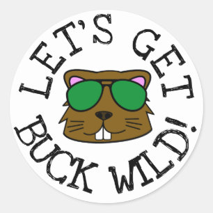 Laten we Buck Wild halen Ronde Sticker