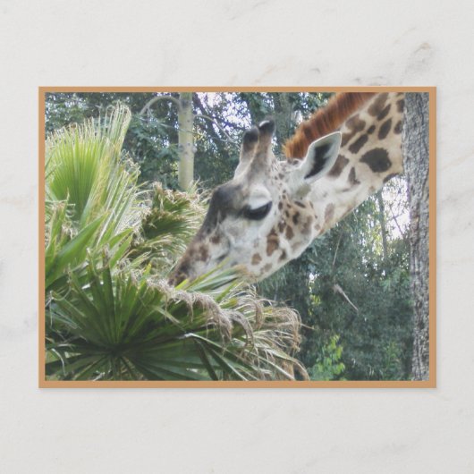 Laten we een keer lunchen! briefkaart (Voorkant)