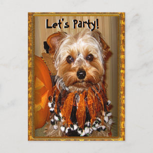Laten we feesten voor Halloween Yorkie Uitnodiging Briefkaart