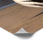 "Laten we het goedmaken" pelikanen op het strand Poster (Hoek)