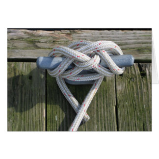 Laten we het stropdas omhoog doen!