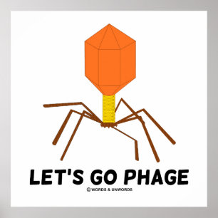 Laten we het virus bacteriofaag gaan uitbroeden poster