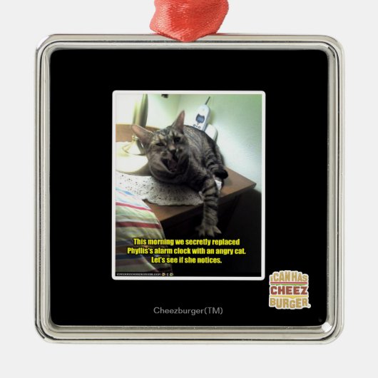 Laten we kijken of ze merkt. metalen ornament (Voorkant)