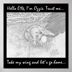 LATEN WE MIJN WIL NAAR HUIS GAAN BESPAAR WILDLIFE POSTER