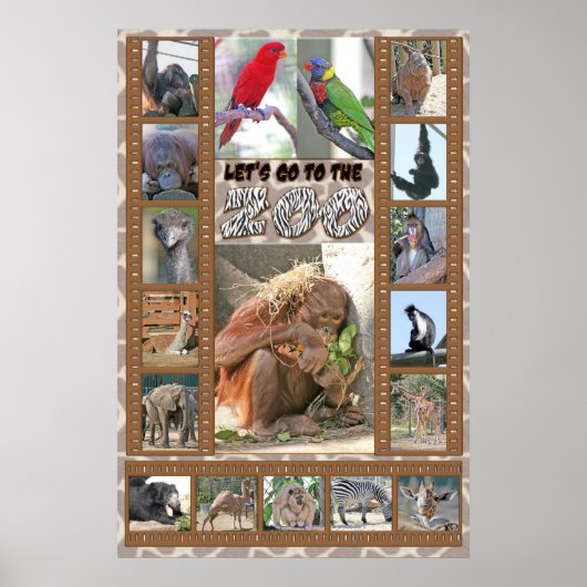 Laten we naar de Zoo gaan. Poster (Voorkant)