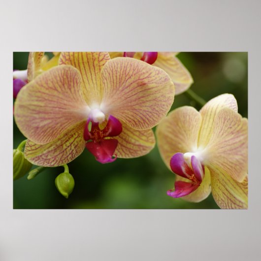 Laten we samen blijven poster (Voorkant)