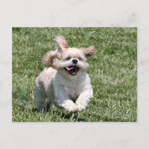 Laten we samen spelen briefkaart