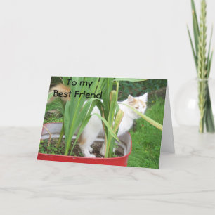 **LATEN WE SNEL SAMEN KOMEN MET DE MEESTE VRIEND" KAART