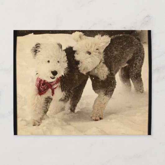 Laten we spelen! briefkaart (Voorkant)