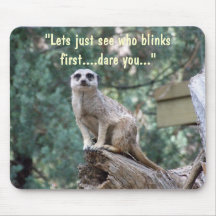 "Laten we zien wie het eerst knippert.." grappige