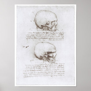 Lateraal Uitzicht van de schedel, Leonardo da Vinc Poster