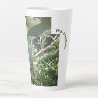 Latere Mok/klein/GROOT/metropolig ontwerp Latte Mok