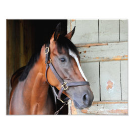 Latigo Trail Foto Afdruk