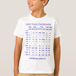 Latijns-Amerikaanse declensievenster voor klassiek T-shirt