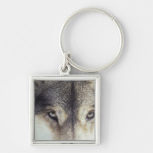 Latijnse naam: Canis Lupus Sleutelhanger