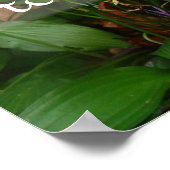 Latijnse wijsheid citeert grienery poster (Hoek)