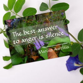 Latijnse wijsheid citeren over beste antwoord post poster