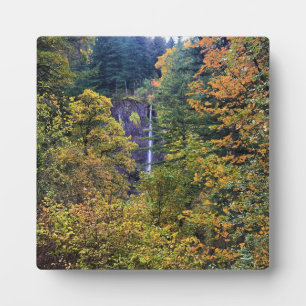 Latourell-Herfsten, Columbia River Gorge, Oregon Fotoplaat