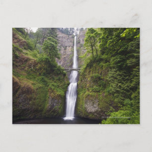 Latourell-Herfsten en Bridge Columbia River Gorge Briefkaart