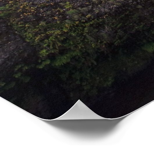 Latourell-Herfsten en Bridge Columbia River Gorge Poster (Hoek)