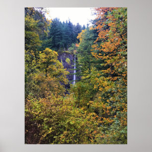 Latourell-waterval, Columbia River Gorge, Oregon Poster