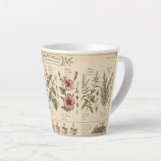 Latte Tasse d'herbes botaniques –