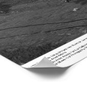 Latter Day Saints Citrus Orchard near Riverside Poster (Hoek)