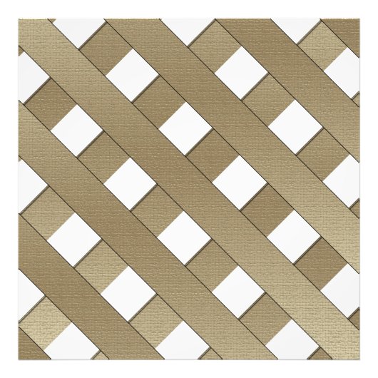 Lattice Fence by Shirley Taylor Foto Afdruk (Voorkant)