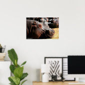 L'attitude hippo "Je vais bien y aller" affiche (Bureau à domicile)