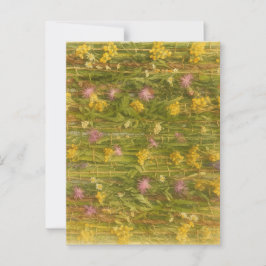 Latvian Wildflowers – Nature Preserved Briefkaart