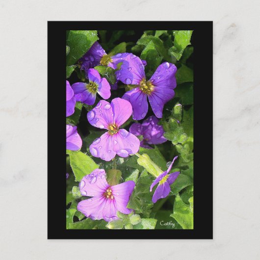 L'aubriète Briefkaart (Voorkant)