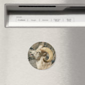 Laughing Bighorn Sheep Magneet (Insitu (Vaatwasser))