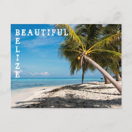Laughing Bird Caye - Belize Briefkaart (Voorkant)