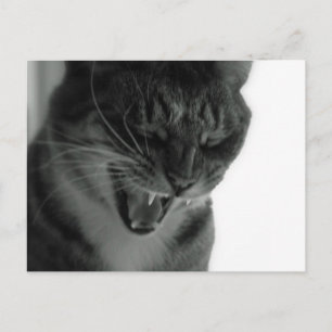 Laughing Cat Briefkaart