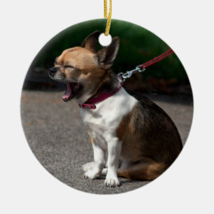 Laughing Chihuahua Keramisch Ornament