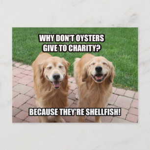 Laughing Golden Retriever Funny Shellfish Joke Briefkaart