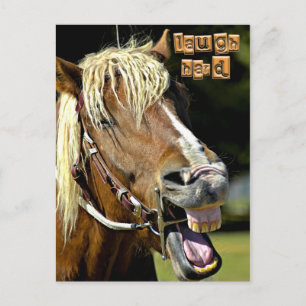 Laughing Horse Post Card Briefkaart