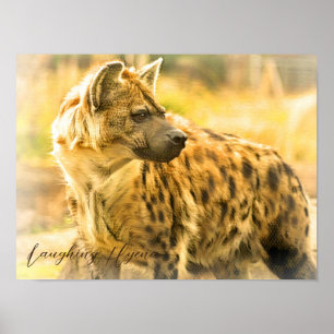 Laughing Hyena ポ ス タ ー Poster