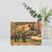 Laughing Hyena (Ver. 2.0): Briefkaart (Staand voorkant)
