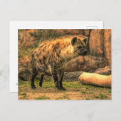 Laughing Hyena (Ver. 2.0): Briefkaart (Voorkant / Achterkant)