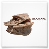 Laughing Iguana HeHe Lizard