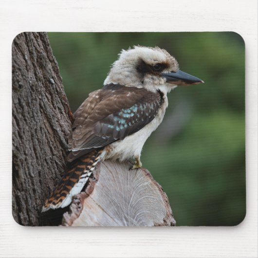 Laughing Kookaburra Muismat (Voorkant)